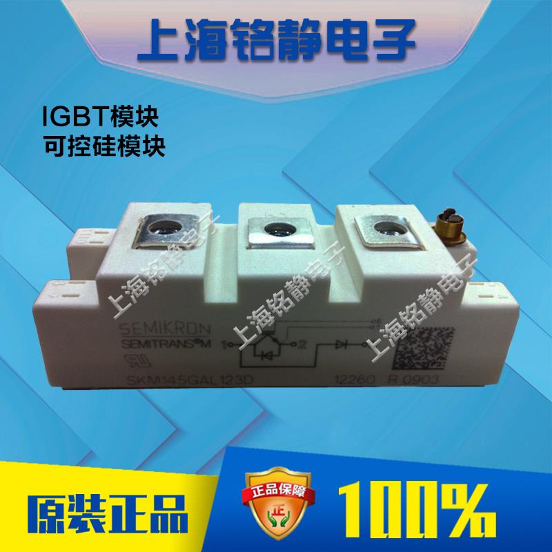 SKM145GAL124D