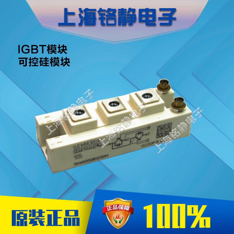 SKM100GB125DN