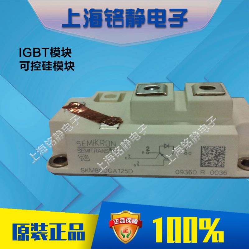SKM800GA125D
