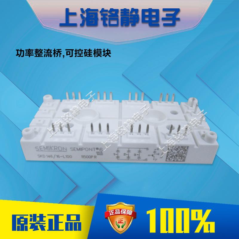SKD146/12-L100