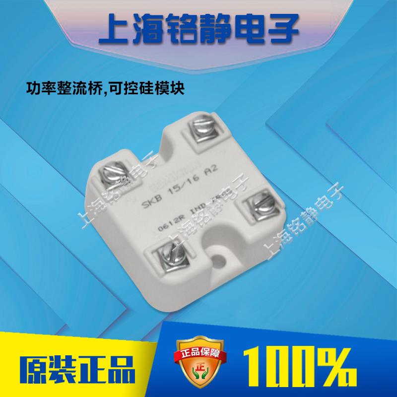 SKM100GB066D